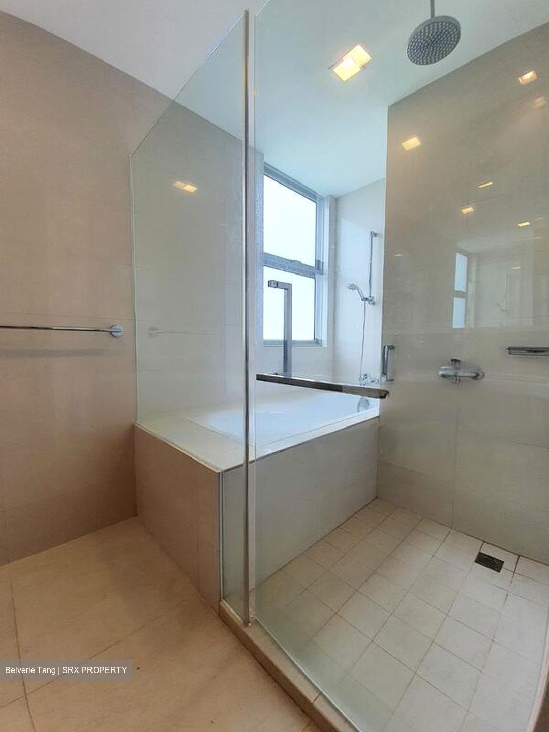 Nassim Regency (D10), Condominium #576963401